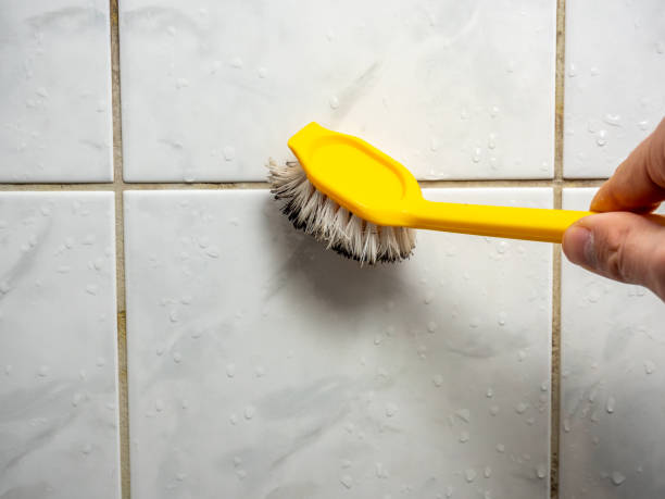Best Attic Mold Removal  in Rowland Heights, CA