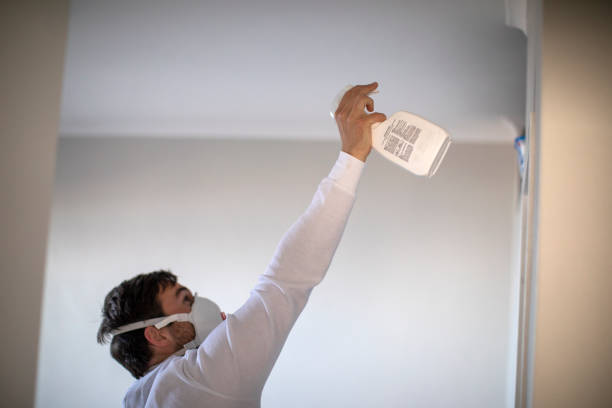 Best Crawl Space Mold Removal  in Rowland Heights, CA